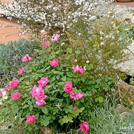 Villa Luna Comeana Esterno foto