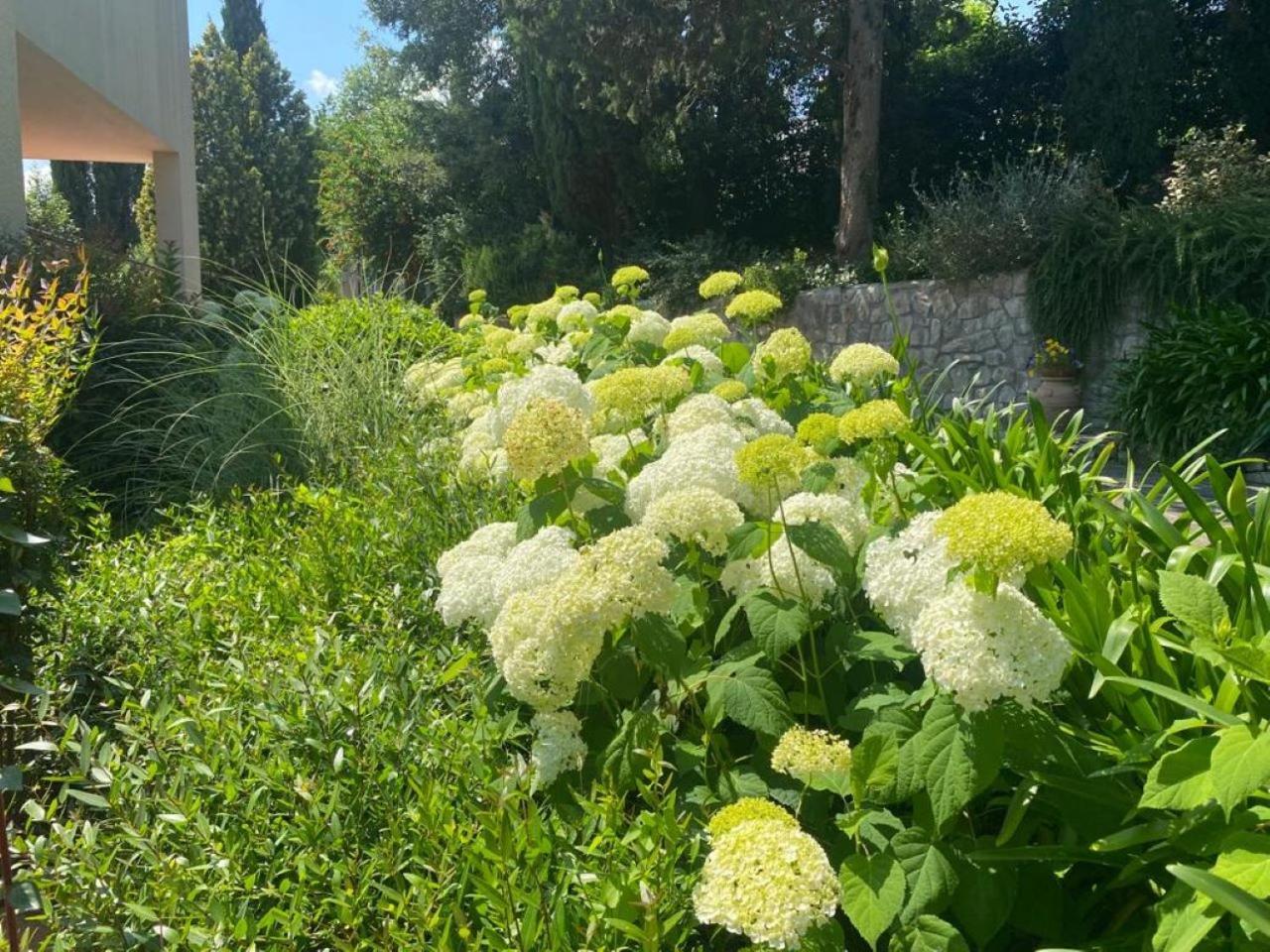 Villa Luna Comeana Esterno foto
