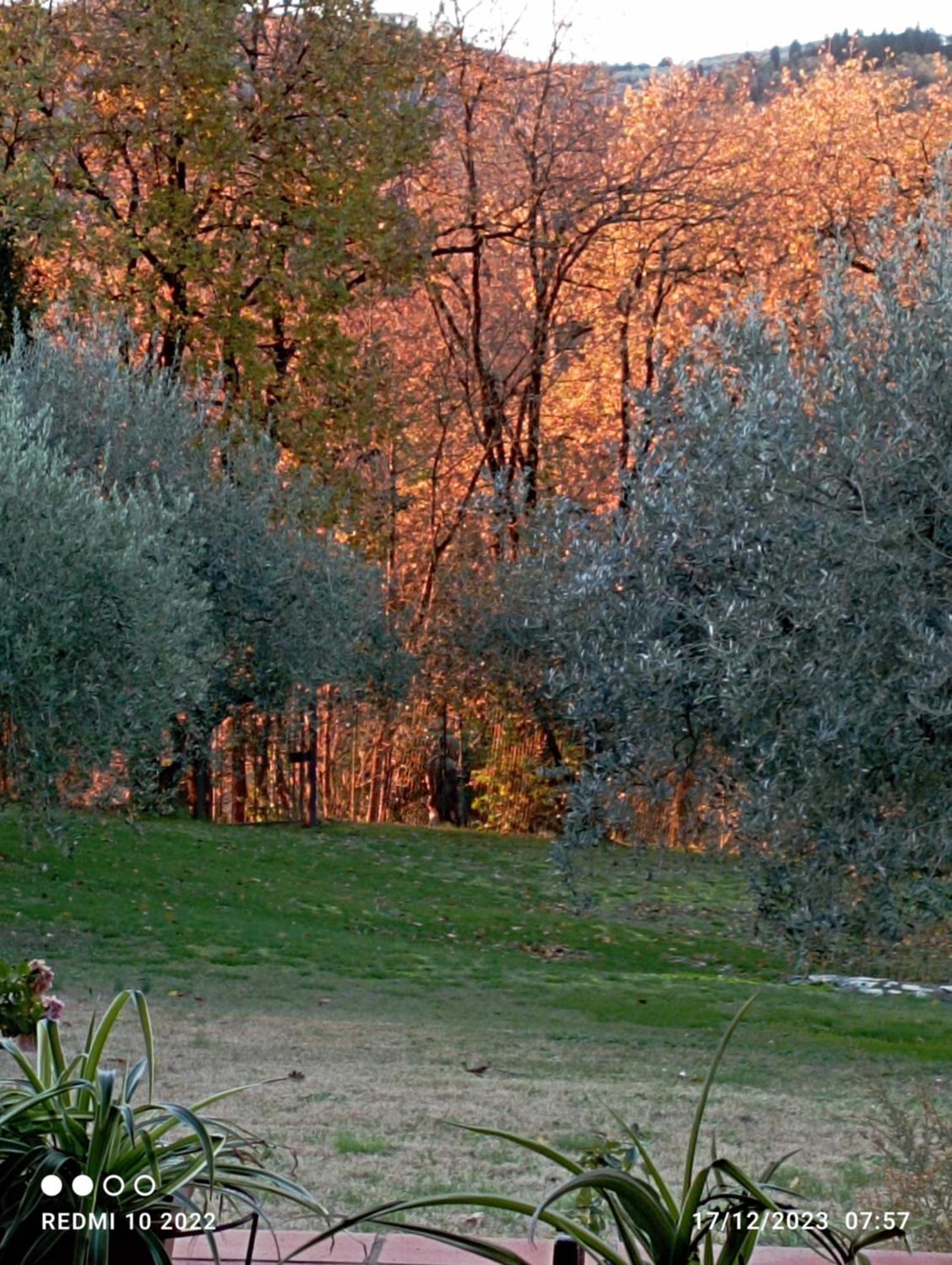 Villa Luna Comeana Esterno foto