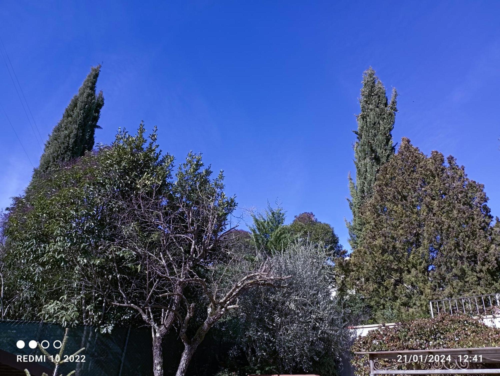 Villa Luna Comeana Esterno foto