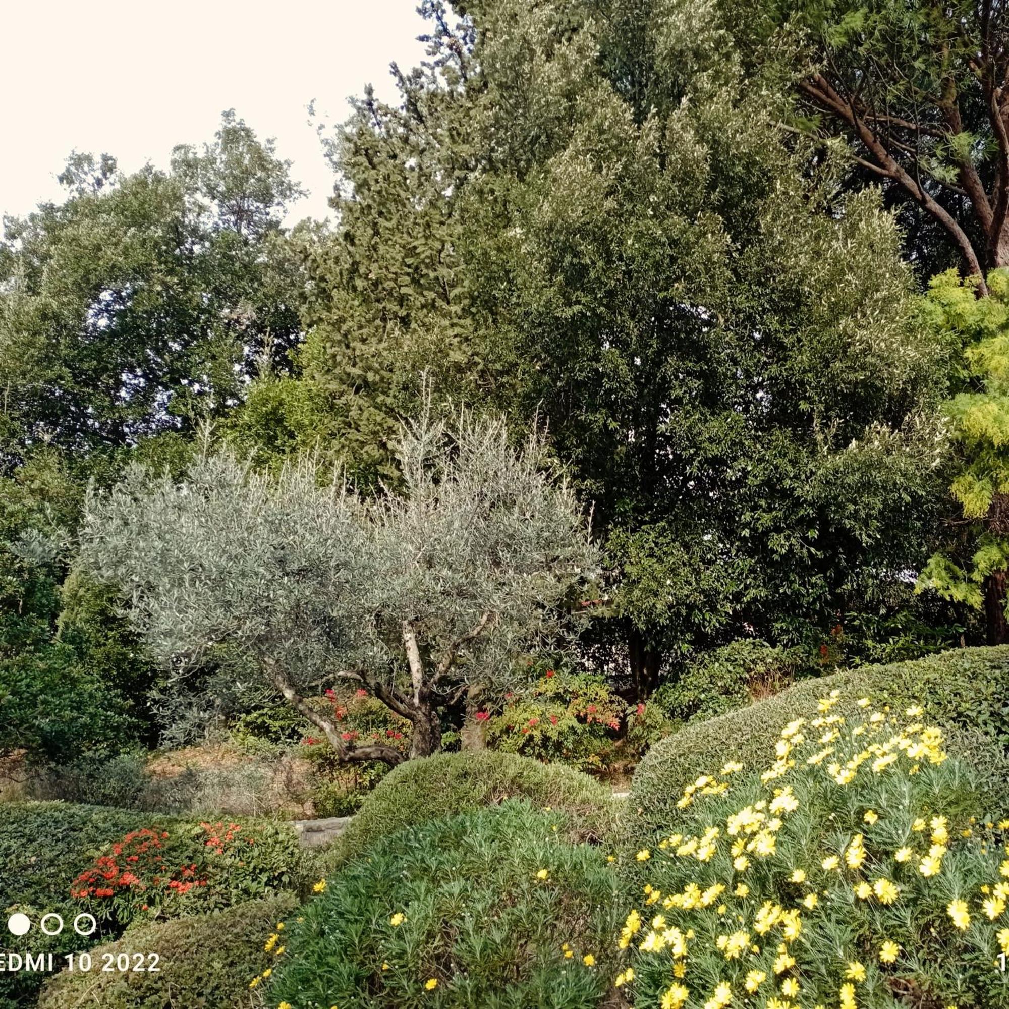 Villa Luna Comeana Esterno foto